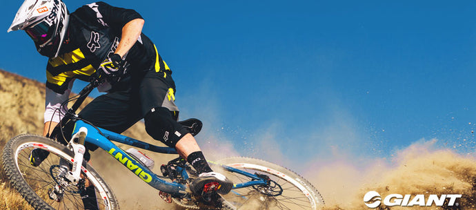 Shop News:  Giant Bikes in the Haus