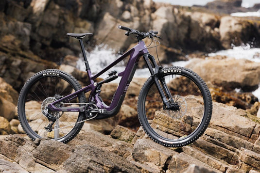 Win Ibis's Brand-New Oso! Or Any Ibis Bike of Your Choice!