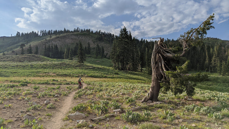 Weekly Mountain Bike Shop Rides
