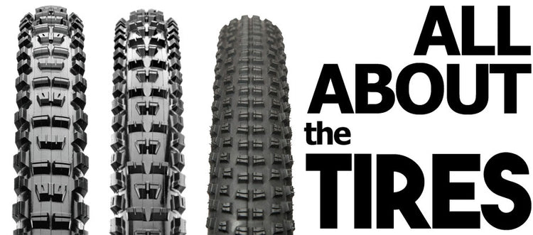 The Best MTB Tires for Tahoe
