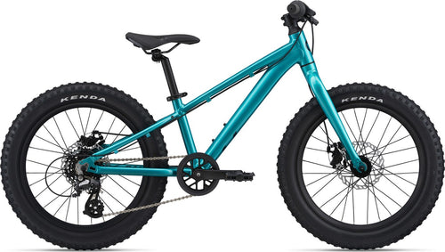 Liv STP 20 Girls Junior Bike - Teal
