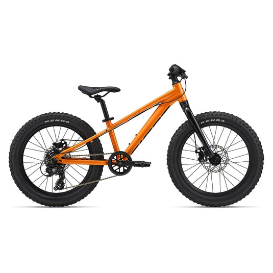 2025 Giant STP 20 Kids Mountain Bike
