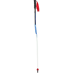 Swix WC Pro SG