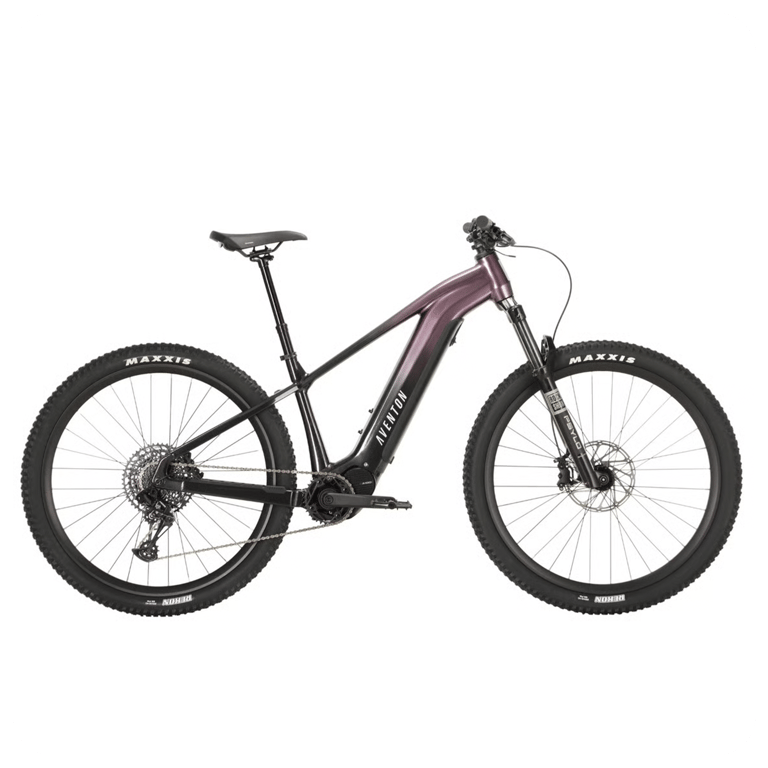 Load image into Gallery viewer, Aventon Ramblas eMTB
