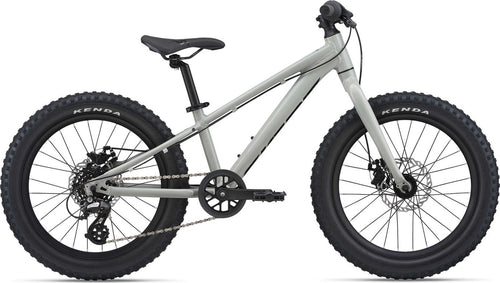 Giant STP 20 Boys Junior Bike - Concrete