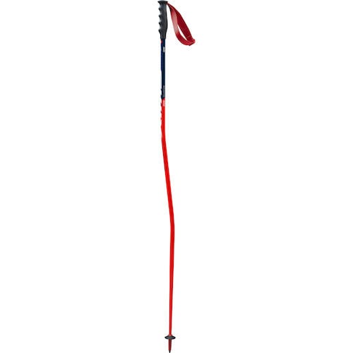 Swix World Cup Pro SuperG Race Pole