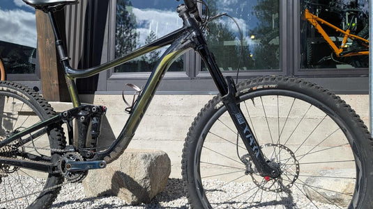 DEMO - Giant Reign 29er, Size XL