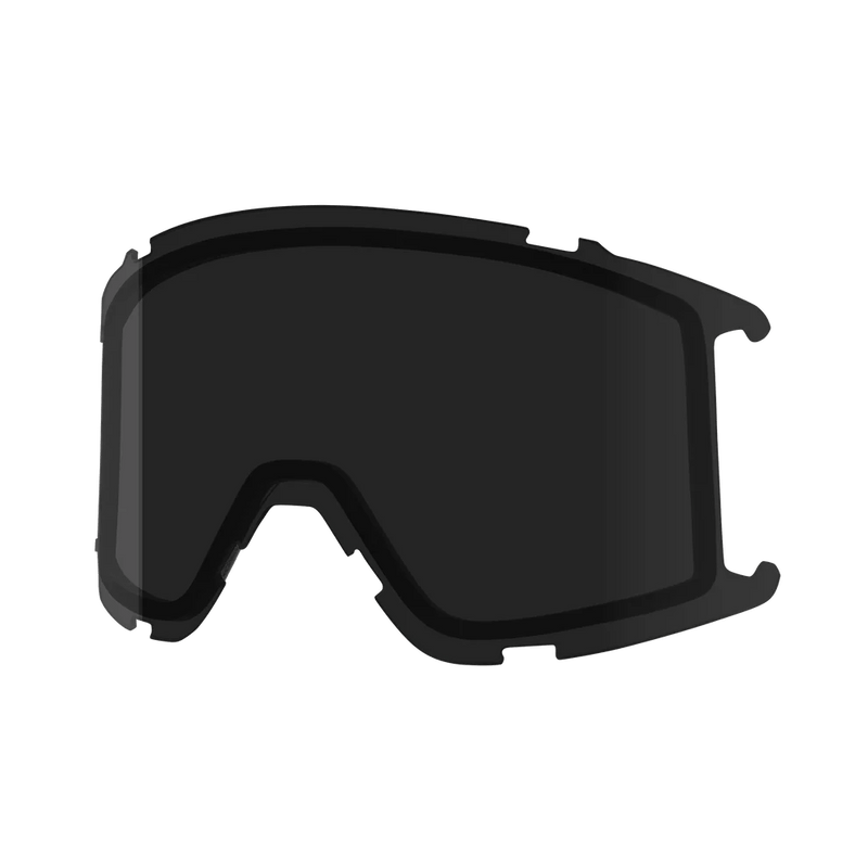 Load image into Gallery viewer, Smith Squad S Single Replacement Lens
