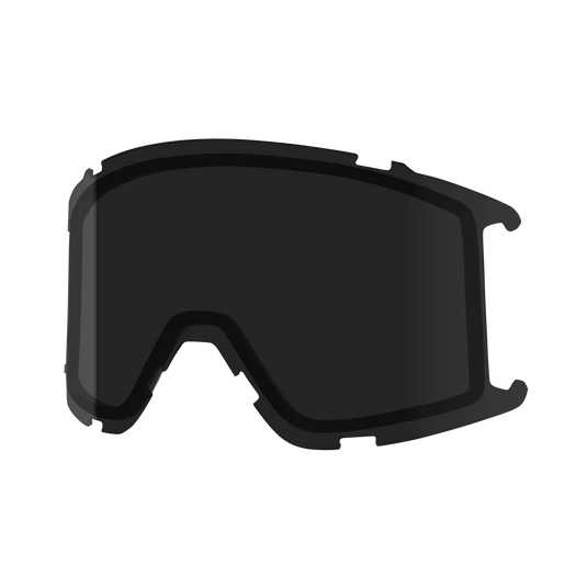 smith goggle replacement lenses Smith Squad S Single Replacement Lens – Start Haus